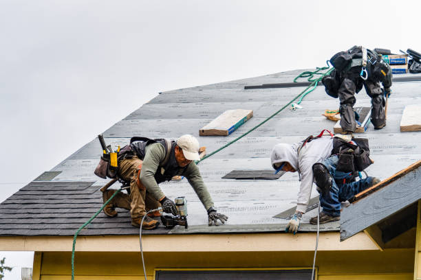 Professional Storm Damage Roof Repair technician working in Charlotte, MI
