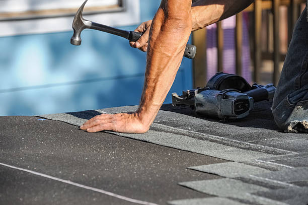 Affordable Storm Damage Roof Repair solutions in Charlotte, MI